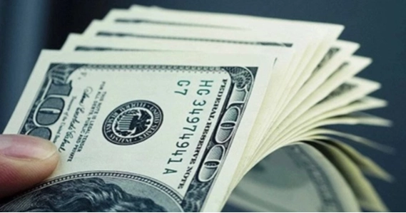 Remittance inflow registers 11.6% growth, reaches $1.15 billion in July's first 11 days