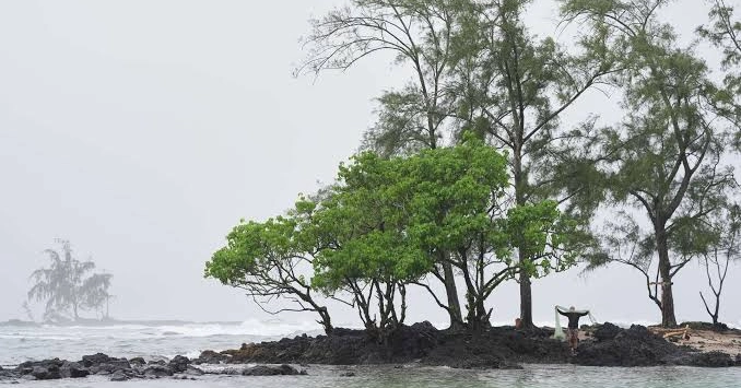 Hurricanes bring flooding and dangerous surf threats to Hawaii and Mexico