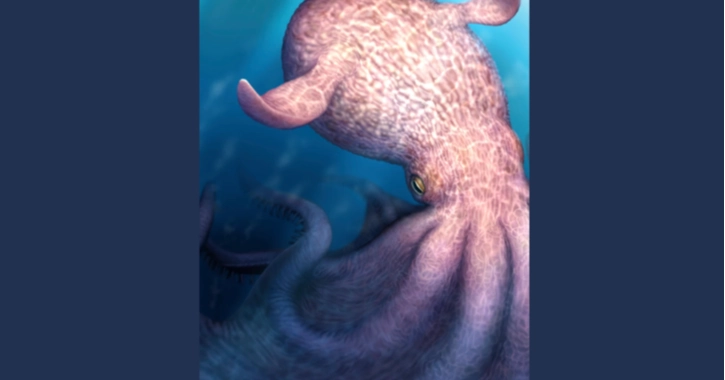 Massive kraken-like ancient octopus may have ruled dinosaur-era seas