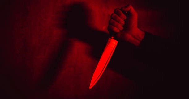 Two brothers slain in Narsingdi