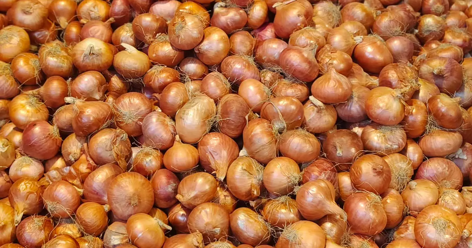 Another 202 mts onion imported from India through Bhomra land port
