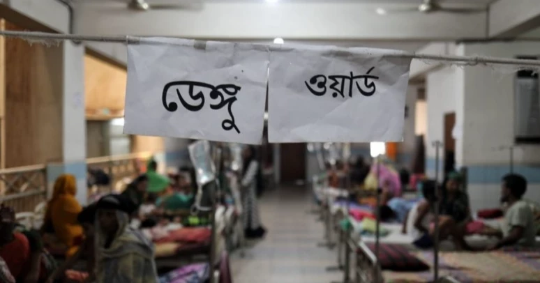 Dengue: 2 more dead, 705 hospitalised in 24 hours