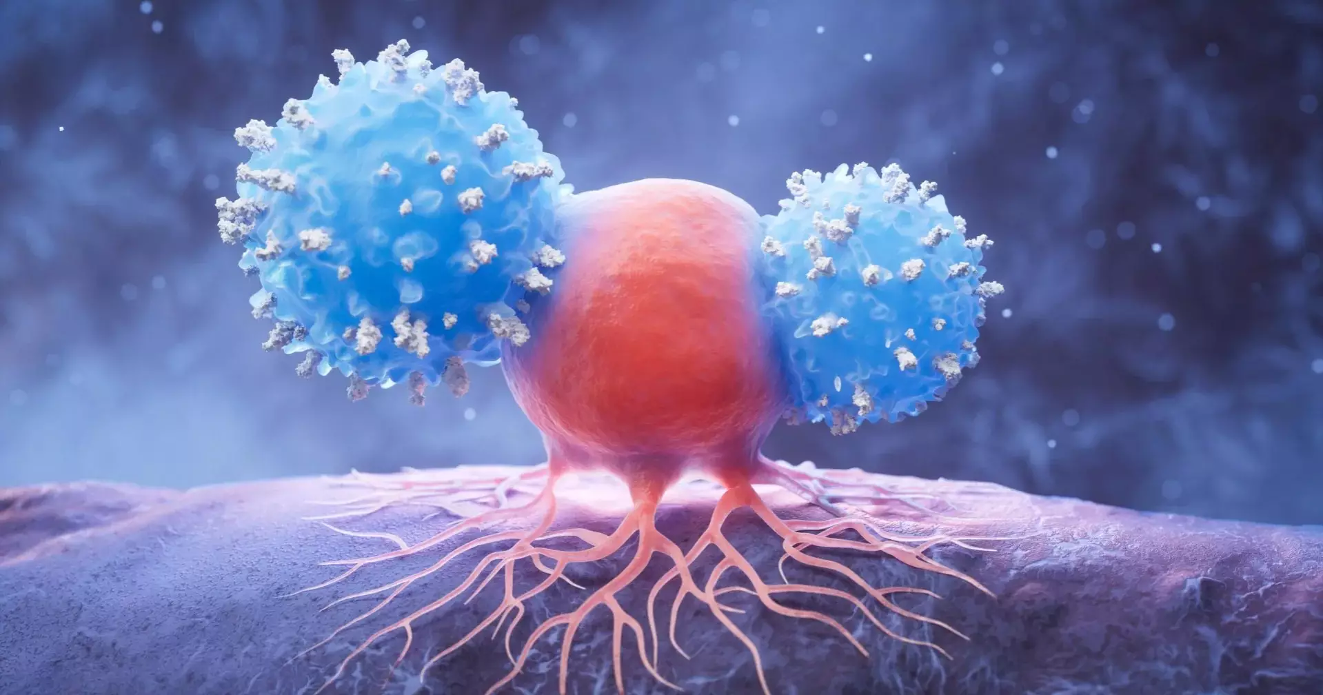 People who live beyond 110 may have unusually high levels of killer immune cells