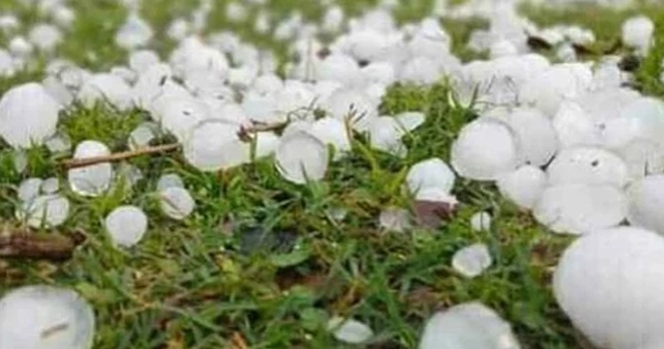Unseasonal hailstorm catches residents of capital cold