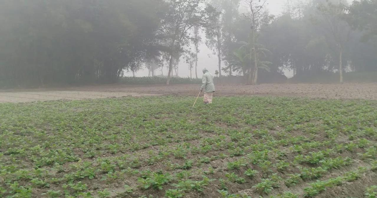 Cold wave disrupts life, livelihoods across northern Bangladesh