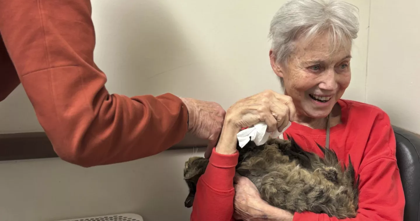 One cat's incredible reunion with its owner after the LA wildfires