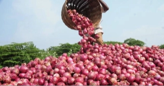 Govt may allow onion imports if prices remain high this week