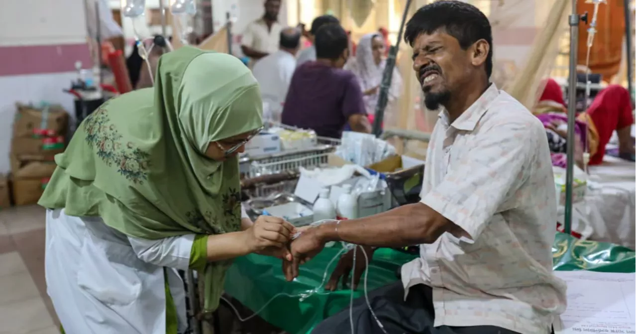 No death from dengue reported for second consecutive day