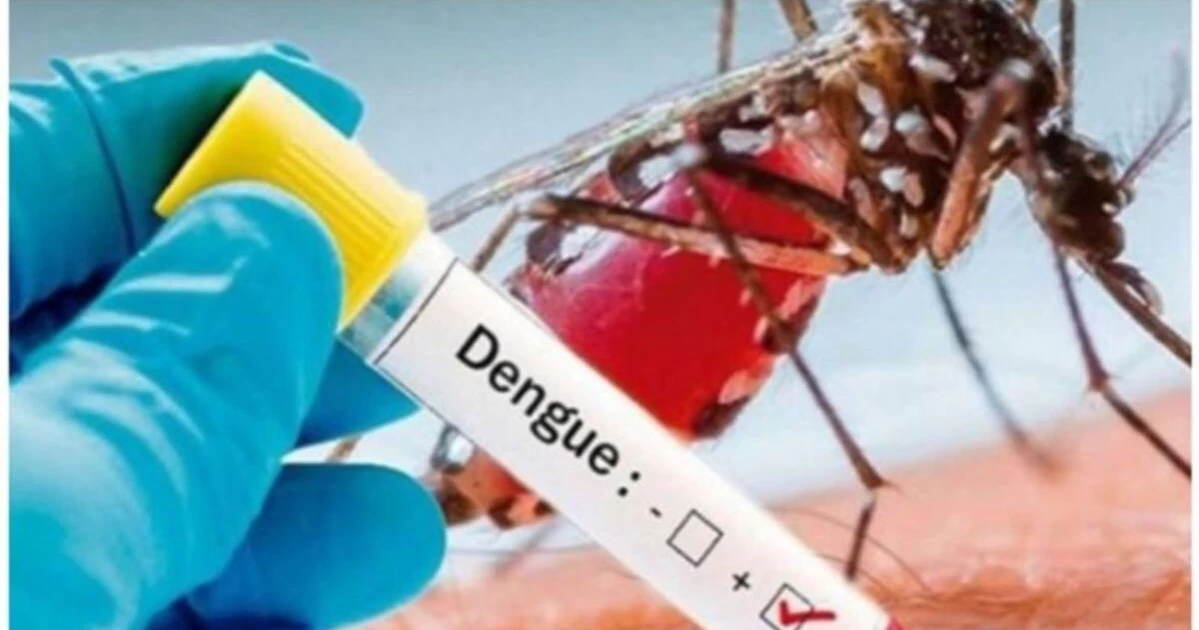 Dengue claims one more live; 416 hospitalised in 24hrs
