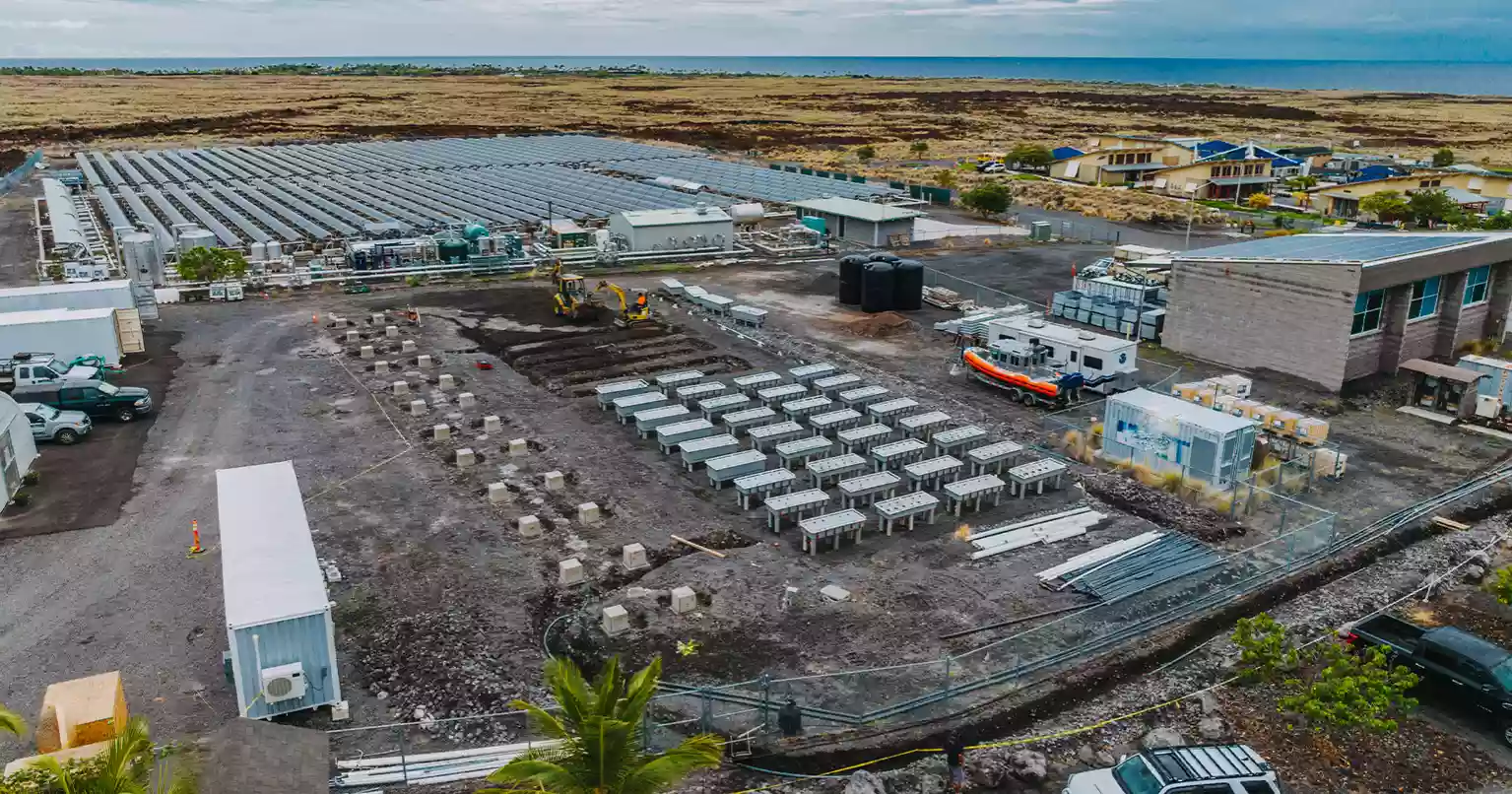 Research offers new approach to boost vegetation on tropical coral islands