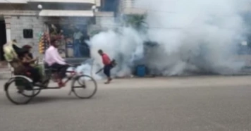 Dengue: 5 more die, 636 hospitalised in 24 hours