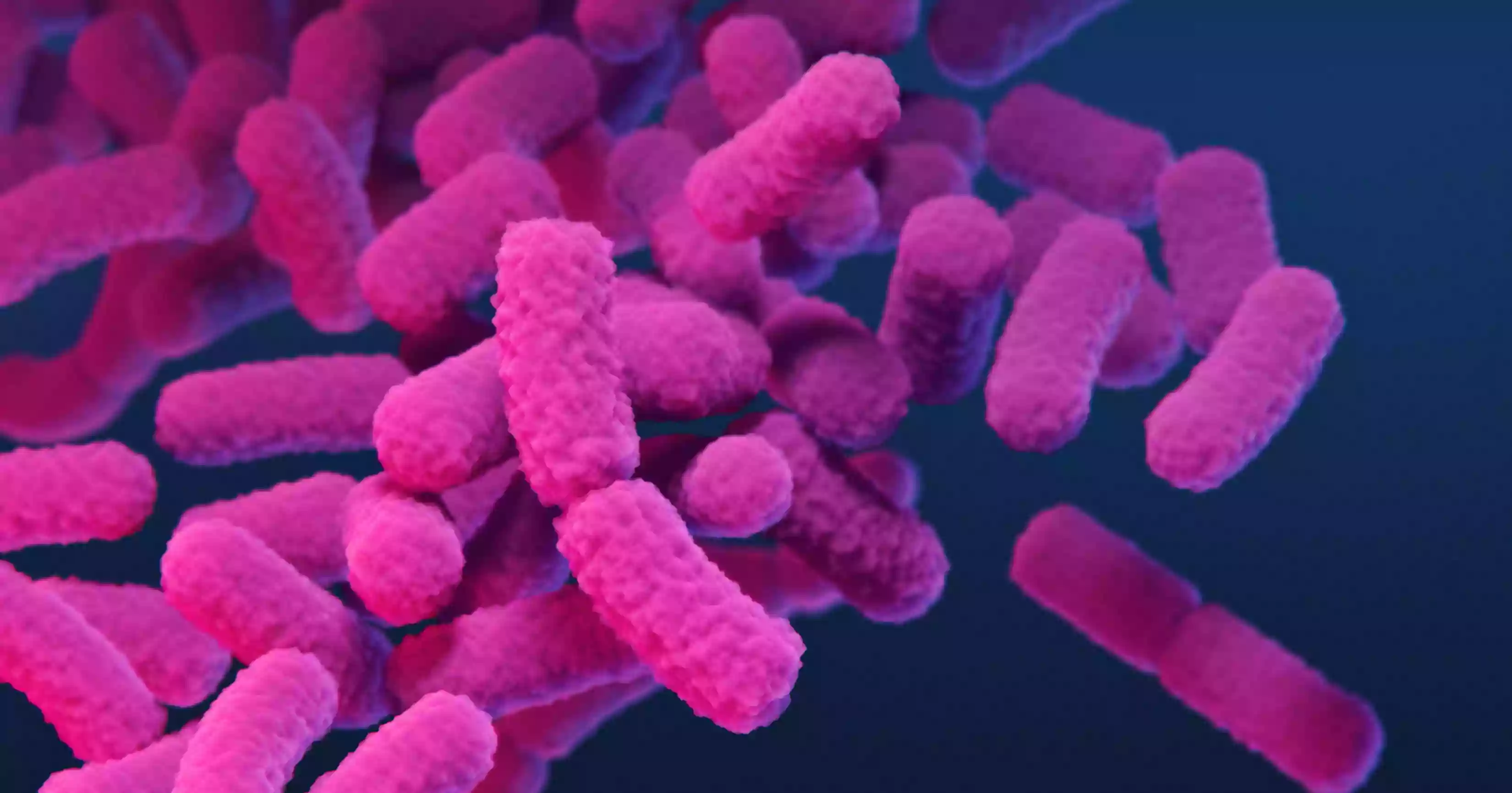 'Nightmare bacteria' cases are increasing in US