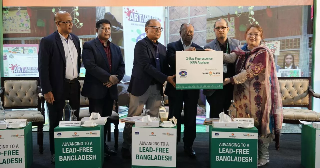 Translate national strategy for lead-free country into reality: Mintoo