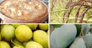 India claiming Bangladesh’s GI products as its own: Industries Secretary