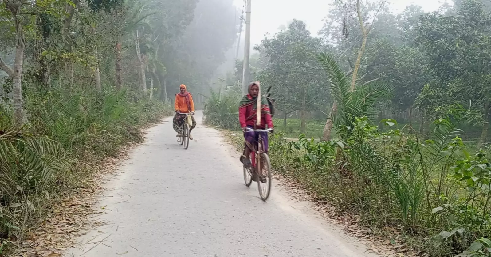 Cold wave hits Chuadanga, disrupts normal life