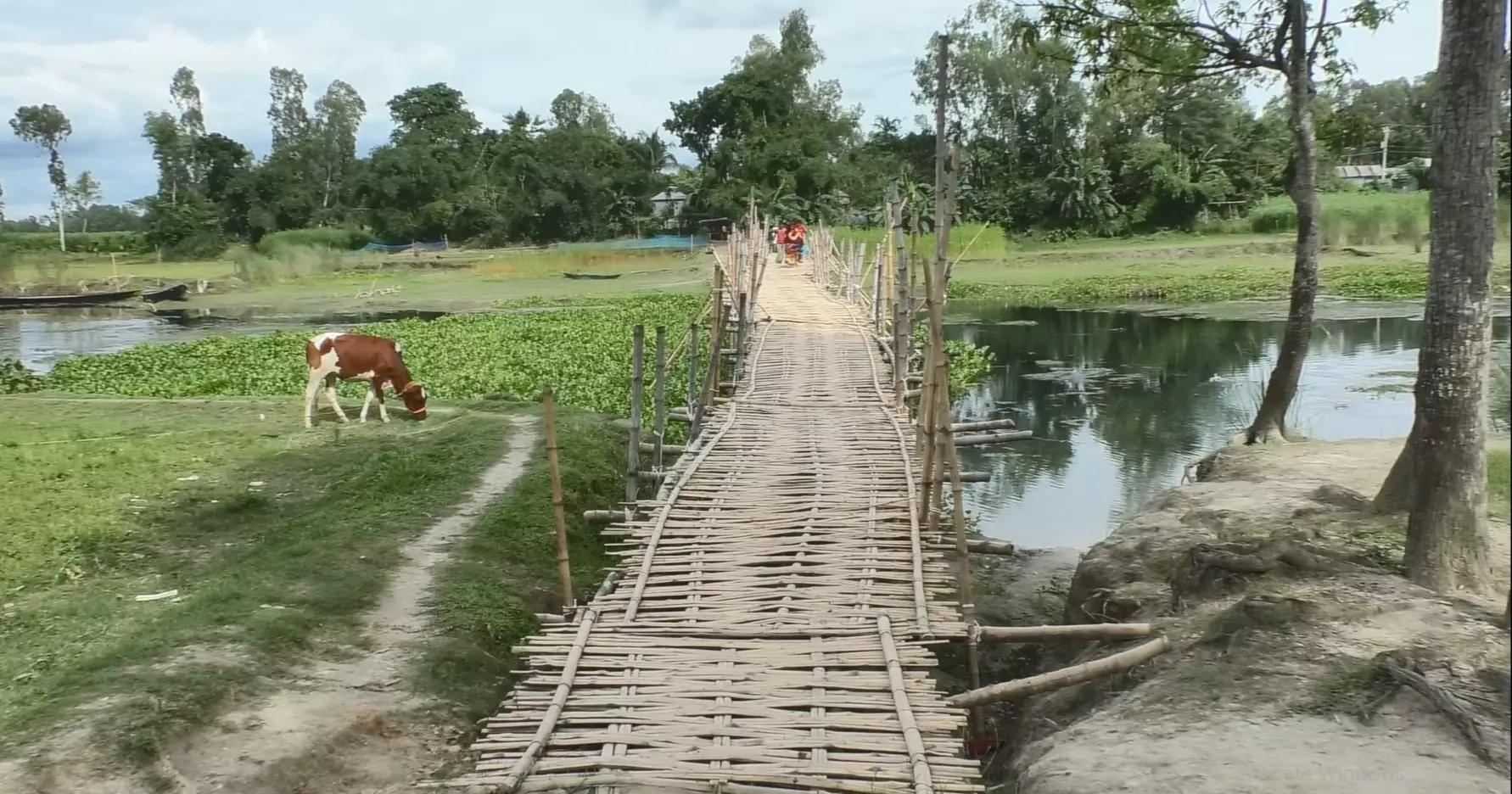 Half a lakh people held hostage by Kurigram’s broken promise of a bridge