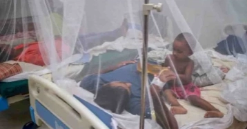 Dengue: One more death reported in 24hrs