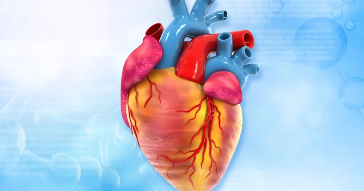 Cardiologist reveals 6 morning habits that keep heart strong