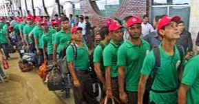 Govt forms advisory council on overseas employment for Bangladeshis