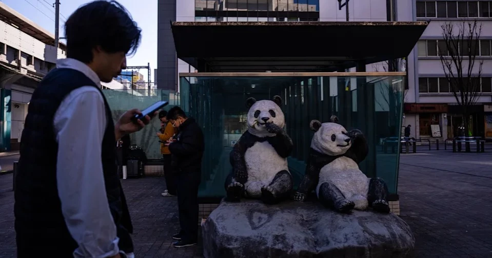 Tokyo zoo prepares for final viewing of giant panda twins before return to China