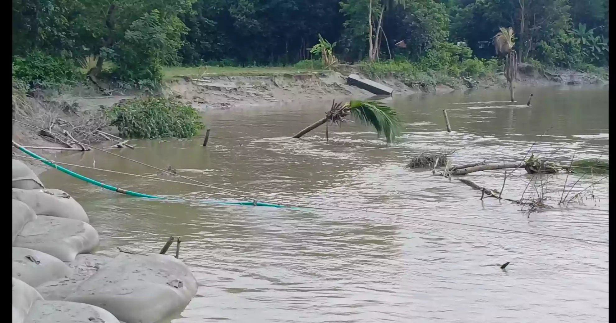 Feni villagers watch helplessly as erosion swallows homes