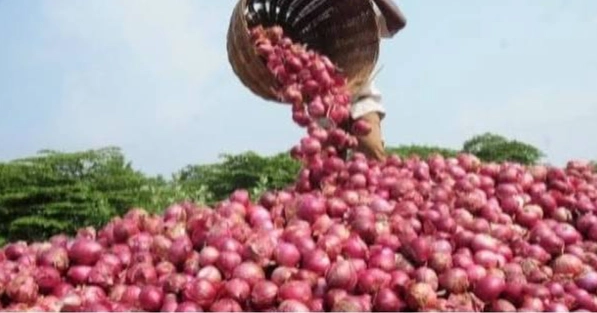 15,000 more air flow machines to be provided for onion storage: Agriculture Minister