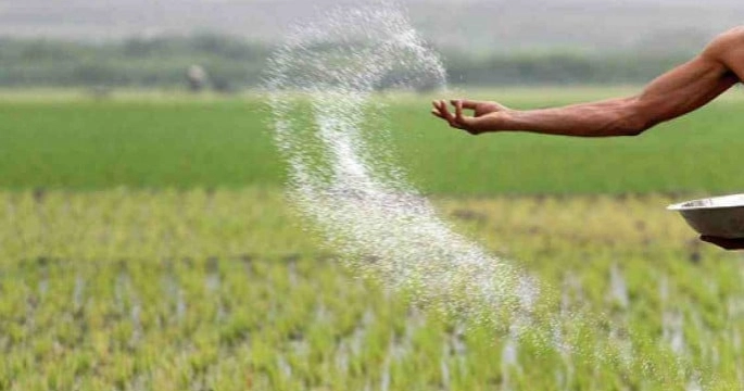 CCGP clears import of 60,000 tonnes of TSP fertiliser from Morocco