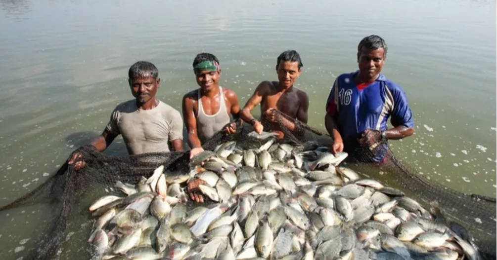 Majority of fisheries workers still denied laborer status