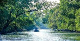 Bangladesh  bans new industrial establishments within 10 km of Sundarbans