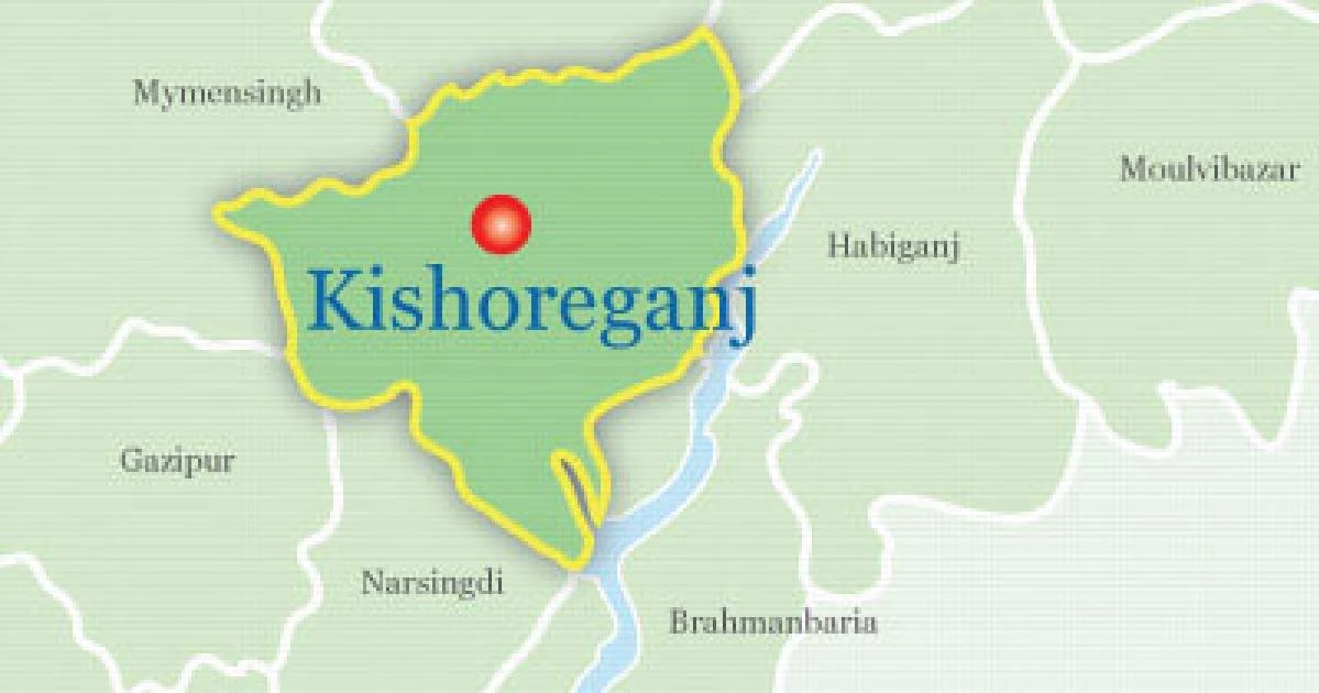 Lightning strike leaves farmer dead, 3 others injured in Kishoreganj