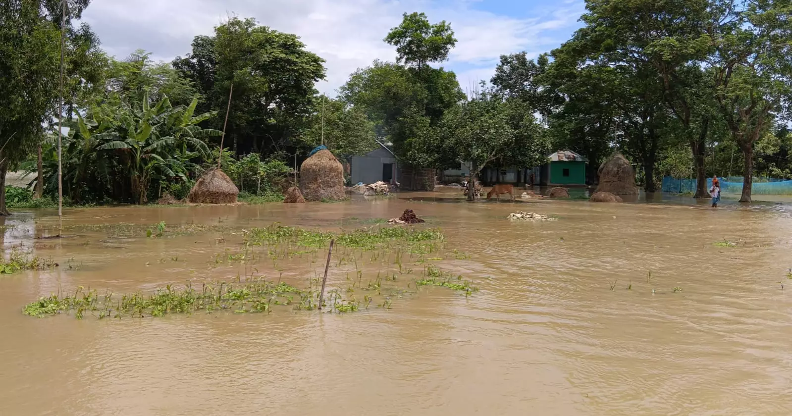 Upstream water floods homes, croplands in Brahmanbaria