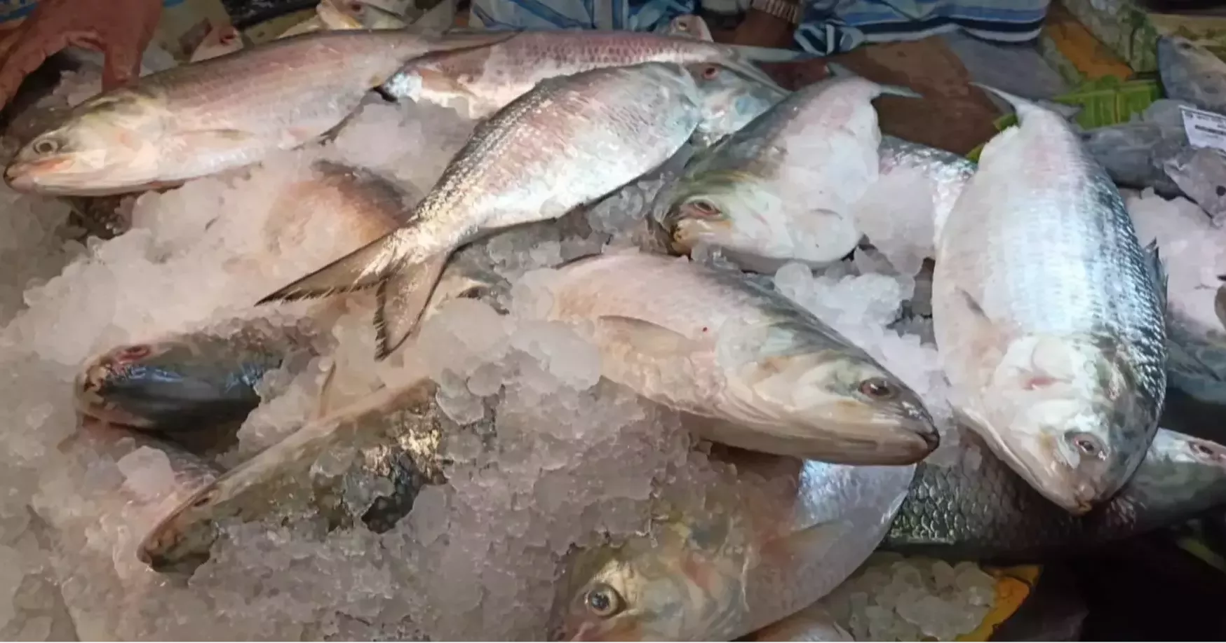 Hilsa gets cheaper as veggies, onions, eggs, chicken cost more in Dhaka