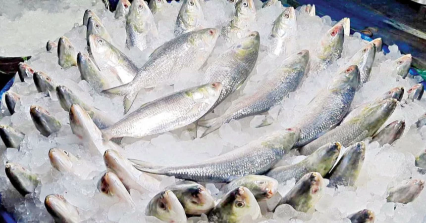 Fisheries Department in Shariatpur deploys drones for 24-hour hilsa protection