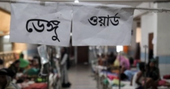 Dengue claims 5 lives, highest in a day this year