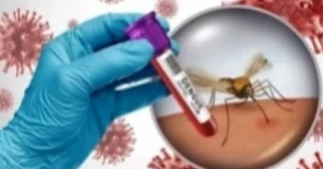 3 more die of dengue, 408 new cases recorded in 24hrs