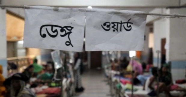 Dengue: 4 more die; 942 hospitalised