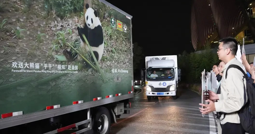 Two giant pandas arrive in Atlanta under new US-China agreement