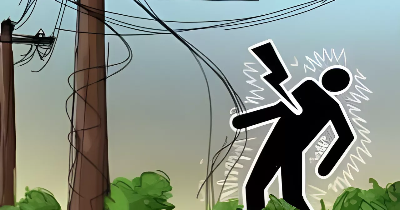 2 farmers electrocuted in Chattogram