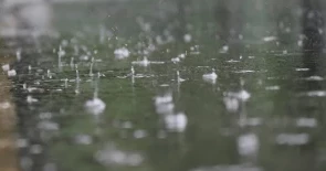 Weather forecast: Rain likely in Dhaka, 7 other divisions