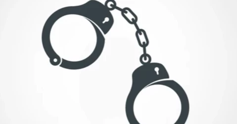 Devil Hunt Operation: Ex-MP Habibur's nephew, 12 others held in Sylhet