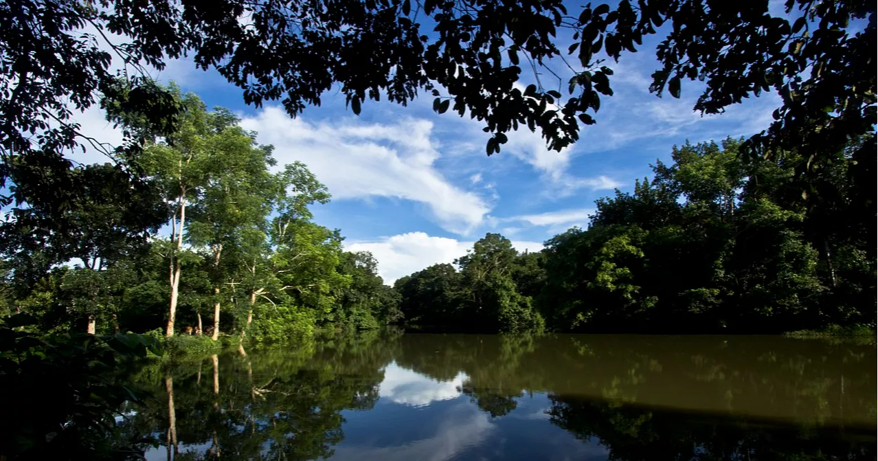 Rema–Kalenga Wildlife Sanctuary in Habiganj: A Comprehensive Travel Guide