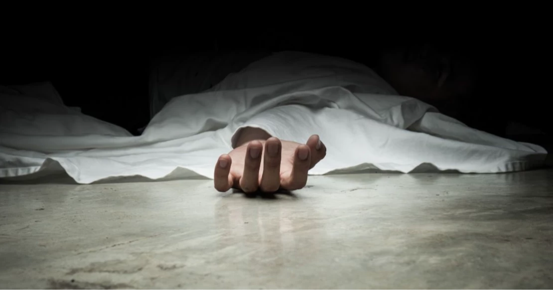 2 killed in Naogaon road crash