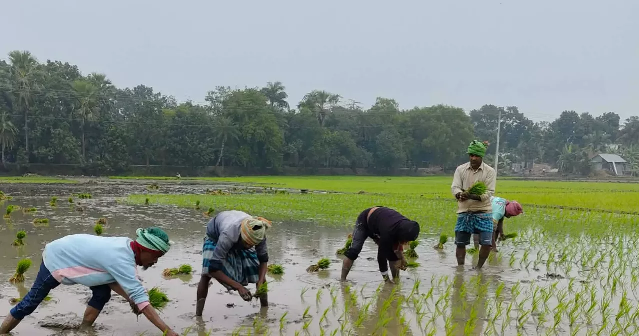 Kushtia farmers upset over canal blockage, fear permanent waterlogging