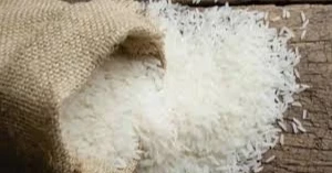 Bangladesh approves import of 50,000 tonnes of non-Basmati rice