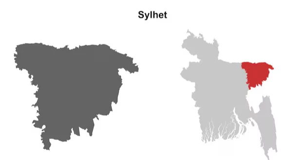 Female doctor dies after being hit by truck in Sylhet