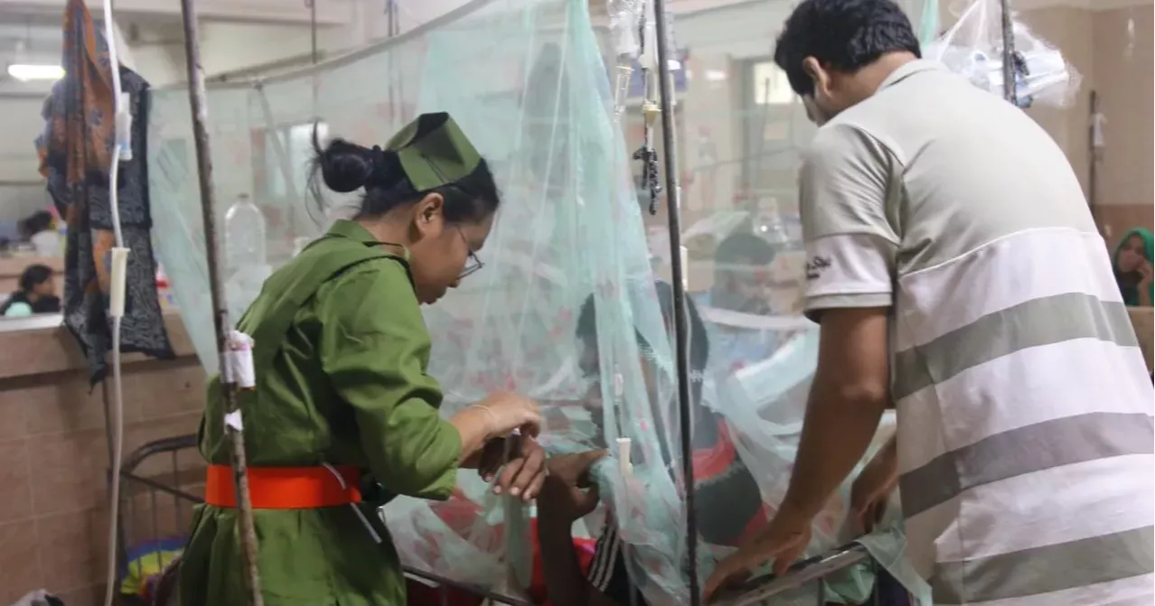 Dengue death toll surpasses 300