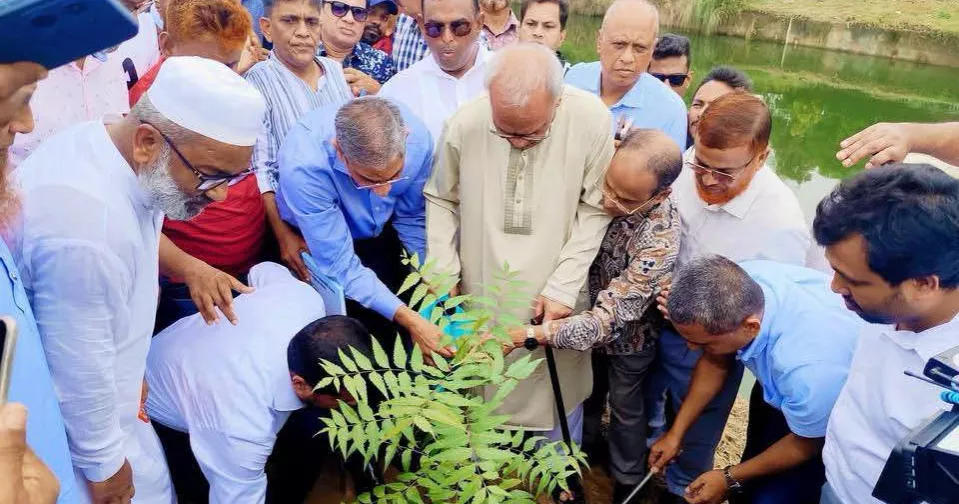 BNP marks 48th founding anniversary with tree plantation drive