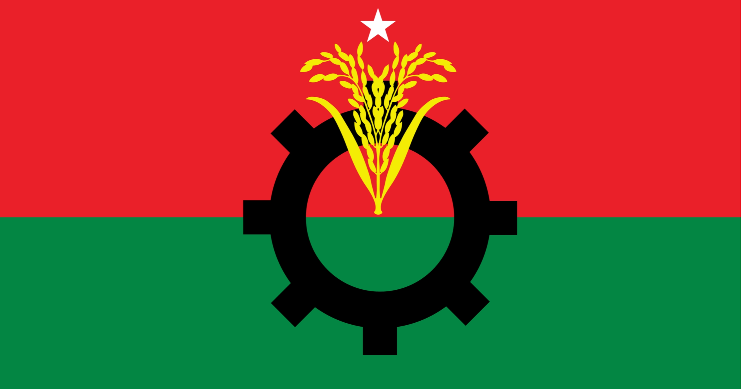 BNP forms committee to review re-demarcation of parliamentary seats