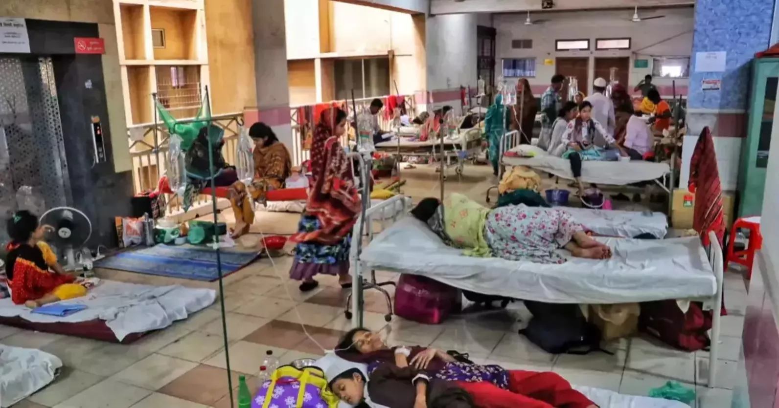 Bangladesh reports more severe dengue cases, calls for early treatment