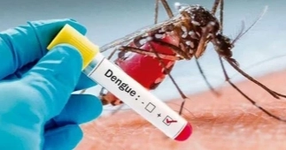 3 more die of dengue, 444 hospitalised in 24hrs: DGHS